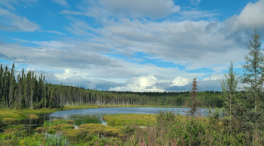 lac dans la forêt au Canada